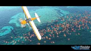 Microsoft Flight Simulator: VR, Kampagne, Realismus, Alpha-Start - Entwickler-Interview (3)