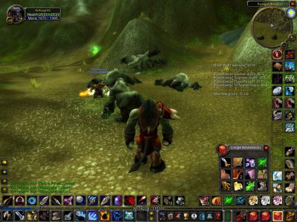 World of Warcraft