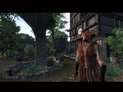 The Elder Scrolls 4: Oblivion