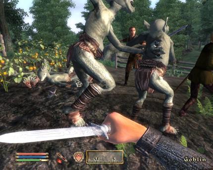 The Elder Scrolls IV: Oblivion - Allgemeine Tipps