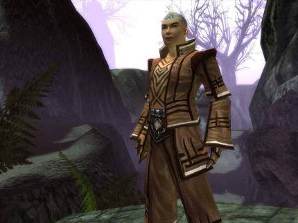 Guild Wars - Factions