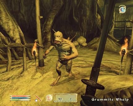 The Elder Scrolls IV: Oblivion