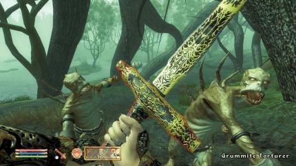 Oblivion mit Bleispritzen?