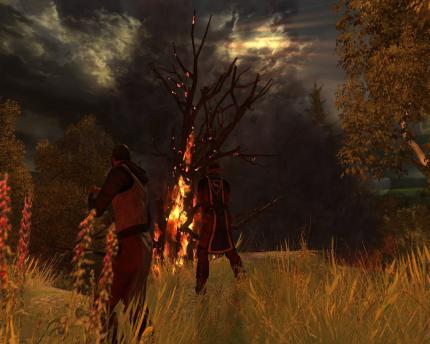 Test: Drakensang