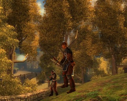 Test: Drakensang