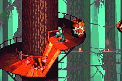 Donkey Kong Country