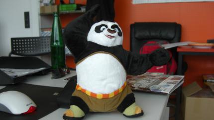 So sieht er aus, der Kung Fu Panda