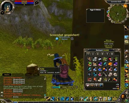 In Runes of Magic gibt es viel zu ernten. Hier wird Holz gehackt.