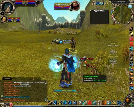 Einige Quests setzten Gruppenspiel voraus. Was aber, wenn niemand in der Nähe ist?