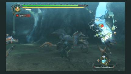 Monster Hunter Tri: Das Wii-Spiel für Jägernaturen jetzt im Test