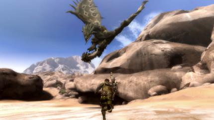 Monster Hunter Tri: Das Wii-Spiel für Jägernaturen jetzt im Test
