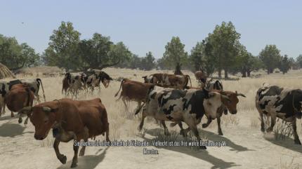 10 Gründe, Red Dead Redemption zu lieben 