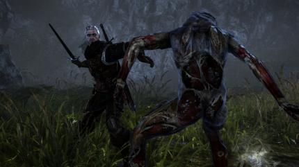 Screenshots aus The Witcher 2, das Spiel sichert sich die Grafikkrone unter den Rollenspielen mit Leichtigkeit. (8)