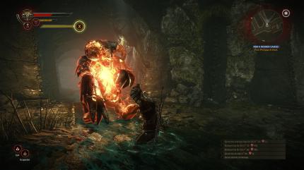 Screenshots aus The Witcher 2, das Spiel sichert sich die Grafikkrone unter den Rollenspielen mit Leichtigkeit. (2)