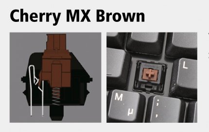 Ein Cherry MX-Brown-Taster im Querschnitt sowie auch bei einer Tastatur, bei der man einen Tastendeckel entfernt hat.