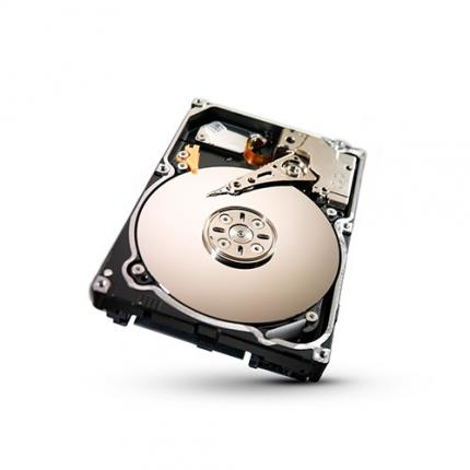 Seagate Constellation