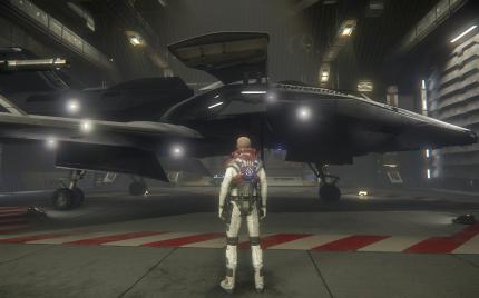 Einzelne Spielteile wie das Hangar-Modul mussten separat entwickelt und aktualisiert werden - das hat Zeit gekostet.