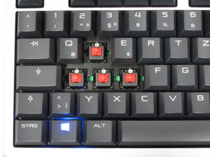 So sieht es unter den Tastenkappen einer mechanischen Tastatur aus