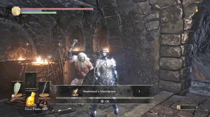 Unübersichtlich: Traditionell gibt es NPCs mit eigenen Questlinien - hier geht es um den Crestfallen Warrior. Es ist oft kaum ersichtlich, was man tun muss, um diese voranzutreiben. (PC)