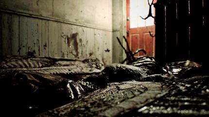 VR-Horror: 
Resident Evil 7 konnte man in Los Angeles sogar schon mit Playstation VR ausprobieren. Viele fanden die viel zu schnellen Bewegungen aber ganz schön zum Kotzen. (PS4)
