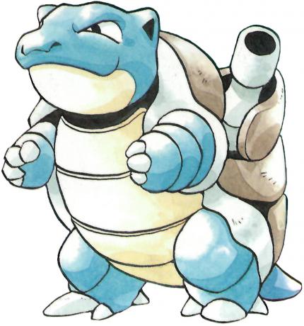 Turtok: 
Die dritte Entwicklungsstufe von Schiggy.