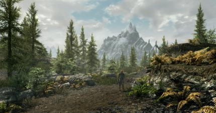 Kaum ein Spiel präsentiert euch ein annähernd entspannendes Naturschauspiel wie Skyrim. Wer zu ein paar Mods greift, kann sein Erlebnis noch einmal verbessern.