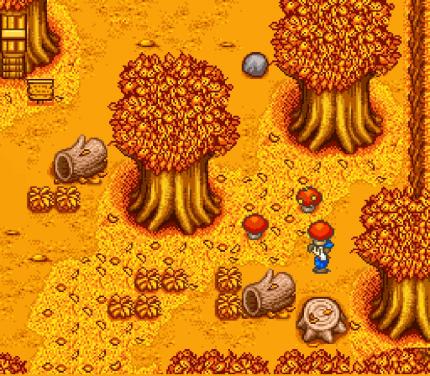 Der goldene Herbst ist da: Feldfrüchte anbauen könnt ihr in dieser Jahreszeit aber nicht, wohl aber den nahegelegenen Wald nach schmackhaften Pilzen absuchen.