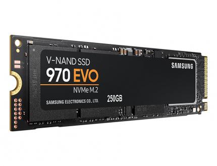 Eine M.2, hier eine Samsung EVO 970 NVMe