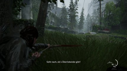 Überall Soldaten, die Jesse und Ellie ausschalten.
