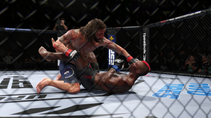 Beim Ground and Pound gibt es leider keine Elbows und Hammerfists mehr.