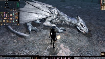 Neverwinter Nights