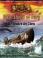 1914: Shells of Fury - Die Schalen des Zorns