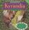 The Legend of Kyrandia: Book One
