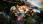 The Vanishing of Ethan Carter