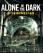 Alone in the Dark: Illumination