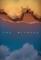 The Witness