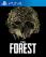The Forest
