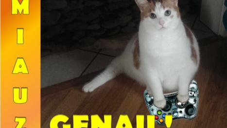 Katz und Maus: Die besten Fellnasen in Spielen