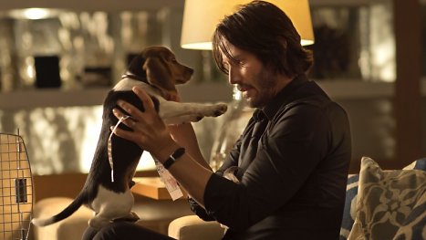 Creed-Chaos vergessen: Nach John Wick 4 hab ich wieder richtig Bock aufs Kino!