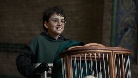 Harry Potter bei HBO: Wichtige Rolle wird noch vor offiziellem Start neu besetzt