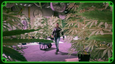 GTA 5: Rockstar startet neues 420-Event im Online-Modus
