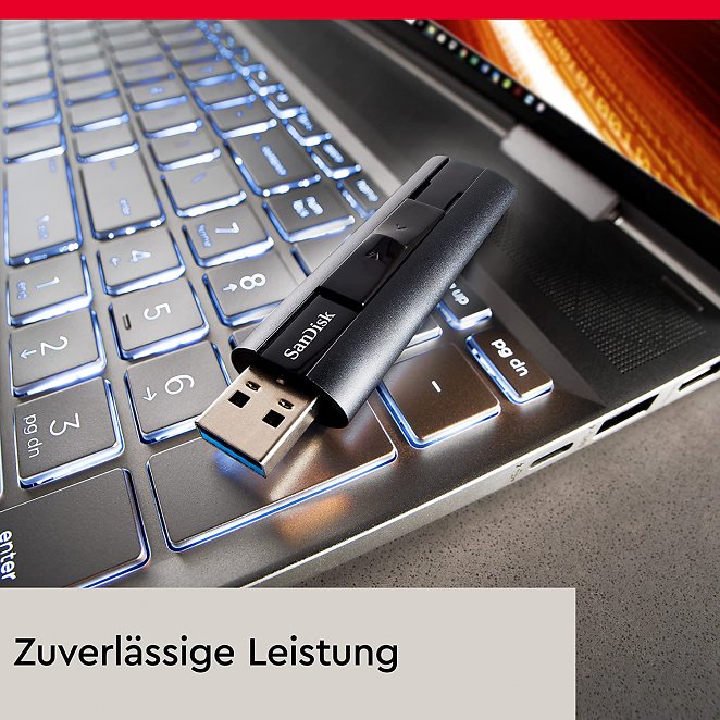 Sandisk Extreme Pro USB 3.2 Stick 256GB, Solid State Flash-Laufwerk