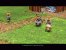 Battle Realms