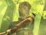 Auch das Königreich Hyrule aus den <strong>The Legend of Zelda</strong>-Spielen würde einen netten Urlaubsort hergeben. In typischer Nintendo-Manier herrscht zwischen allen Bewohnern der Welt Harmonie, Stress ist also nicht zu befürchten. Wenn uns dann doch einmal langweilig sein sollte, suchen wir einfach einen der zahlreichen Dungeons auf.