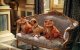 Odie ist verwirrt: Wer ist der echte Garfield? 