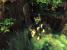 Gleich zu Beginn des Action-Adventures <strong>The Legend of Zelda: Twilight Princess</strong> finden wir uns einsam und verlassen in einem schmutzigen Kellerloch wieder. Gott sei Dank gibt es da diese absolut vertrauenserweckende Dame namens Midna, die uns hilft, aus der unfreiwilligen Erholungskur zu entkommen.