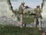 Armed Assault: viele Verbesserungen im neuen Patch