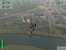 Base Jumping