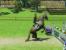Isabell Werth Reitsport: Patch 1.02