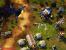 Command &amp; Conquer: Alarmstufe Rot 3 (2)